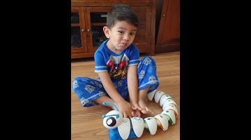 Buffalo Daniel reviews the Fisher-Price Code-A-Pillar