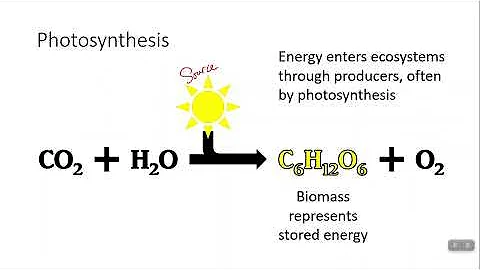 1.8 Primary Productivity