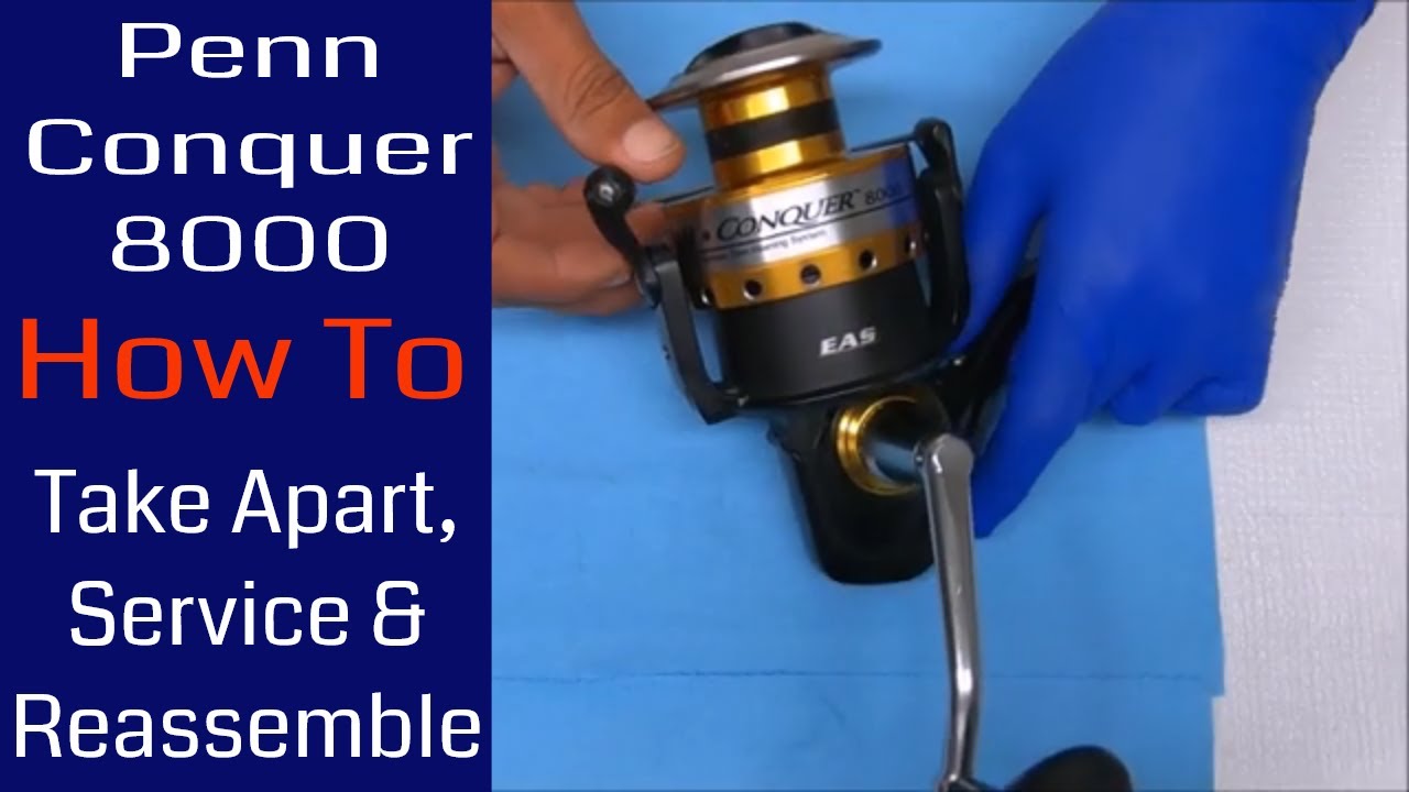 Penn conquer 8000 Clearance