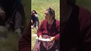 Malatyalı Cuma - Uzun Havalar - Basak Yayla Şenliği 2014