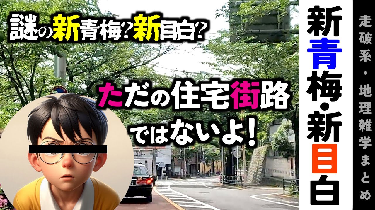 【地理雑学】謎の新青梅街道・新目白街道。のび太くんちのような、一面に広がる住宅街の道？ではなかった！/関東地方/東京都