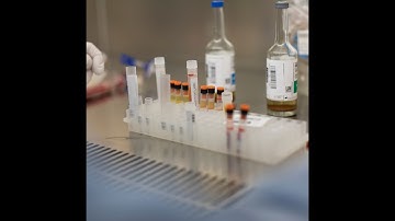 Our Science - Haematopoietic Stem Cell Transplantation and HLA Typing