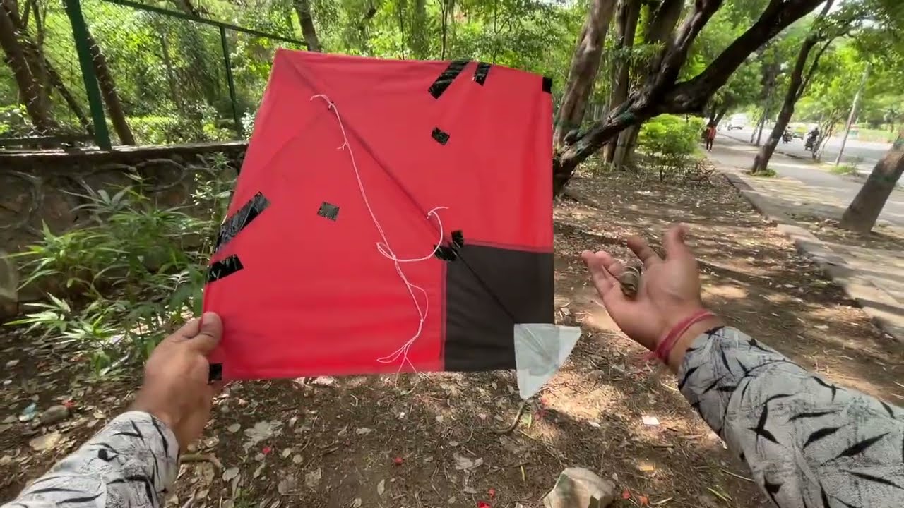 Caught Kites || Forest Kite catching || Kite looting New video