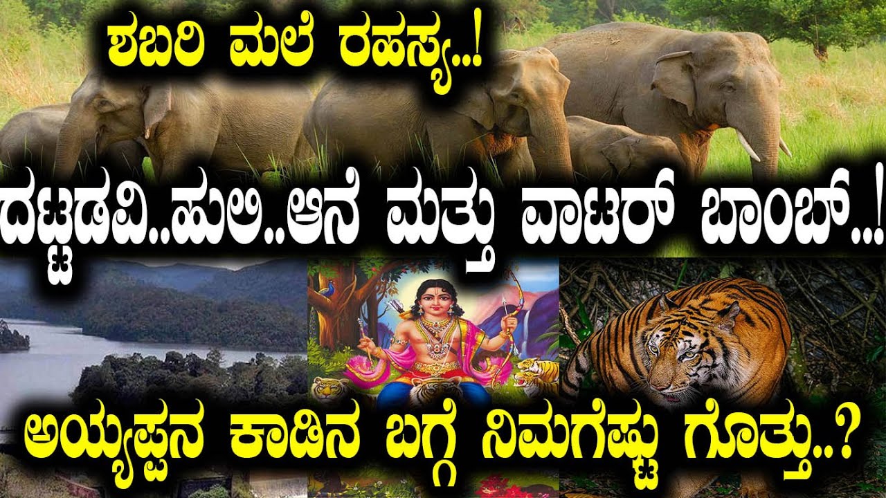 ಶಬರಿ ಮಲೆ ರಹಸ್ಯ..! ದಟ್ಟಡವಿ..ಹುಲಿ..ಆನೆ ಮತ್ತು ವಾಟರ್ ಬಾಂಬ್..! ಅಯ್ಯಪ್ಪನ ಕಾಡಿನ ಬಗ್ಗೆ ನಿಮಗೆಷ್ಟು ಗೊತ್ತು..?