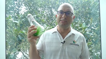 Why are cells so small? | Cell structure and function | meriSTEM