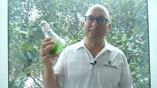 Why are cells so small? | Cell structure and function | meriSTEM