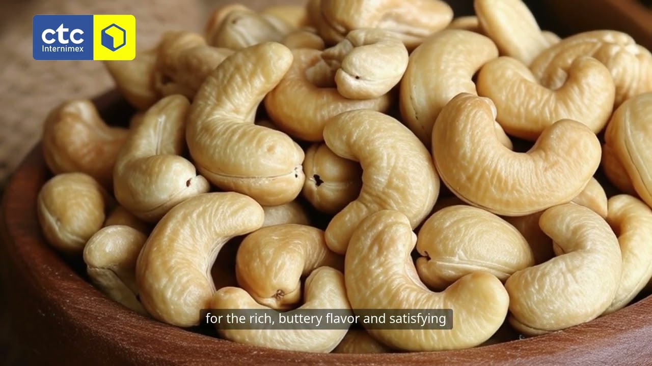 🌍 Vietnamese Cashews – The World's No.1 Exporter! | CTC- Vietnam Export