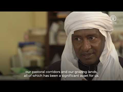 FAO and the VGGT driving Land Reform Worldwide