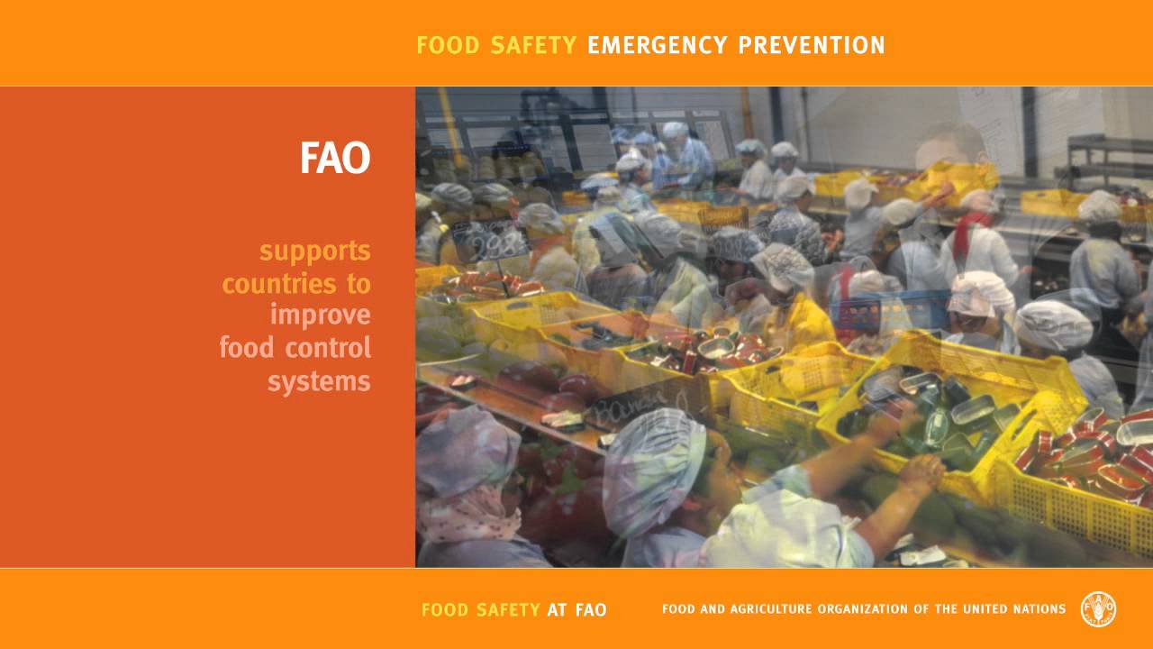 Food Safety Emergency Prevention - YouTube