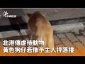 動物虐待事件
