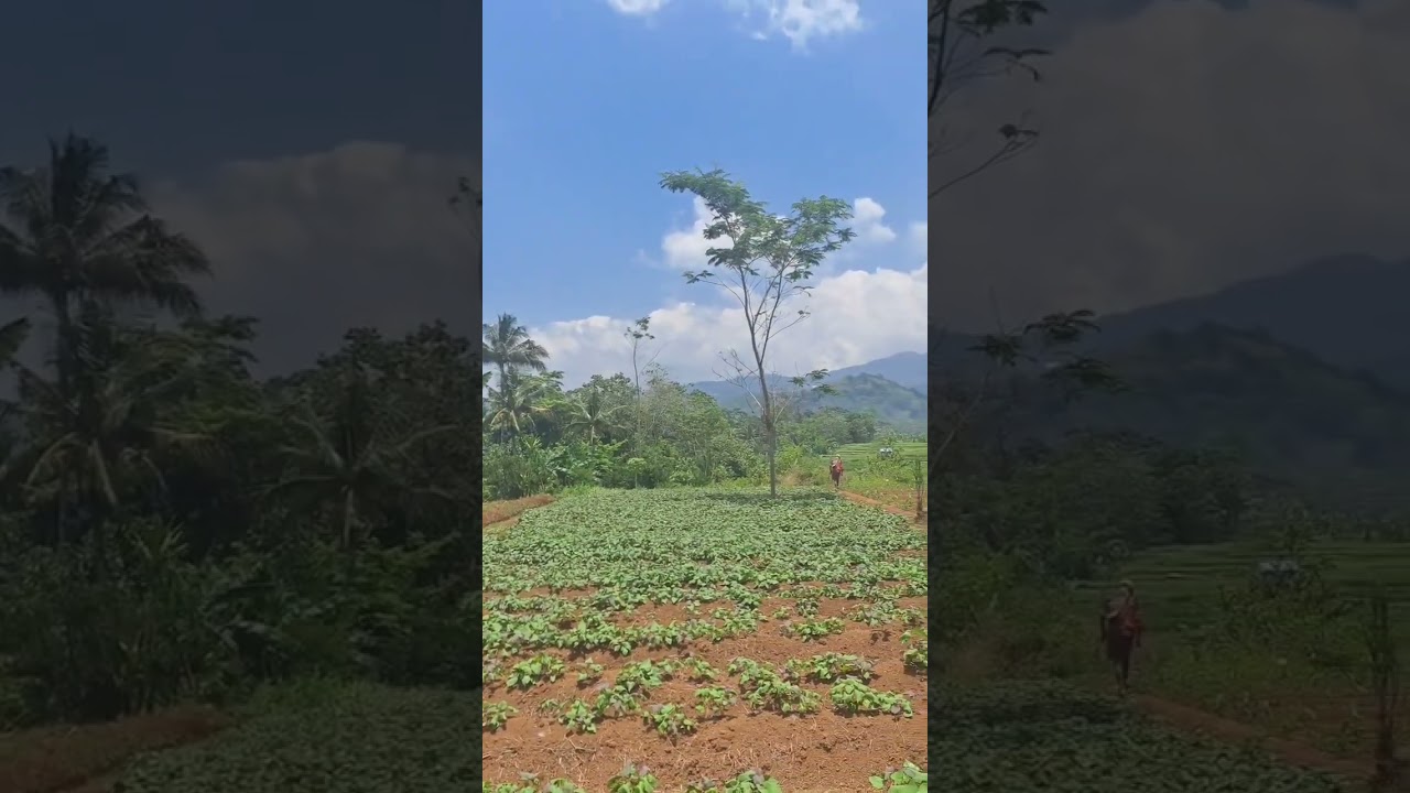 MANFAATKAN WAKTU BERSAMA ORANGTUA SELAGI MASIH ADA #nasehatislami #cintarasulullah #birrulwalidain 