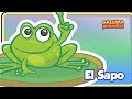 (DIREITOS @gallinapintadita) El Sapo - Gallina Pintadita 1