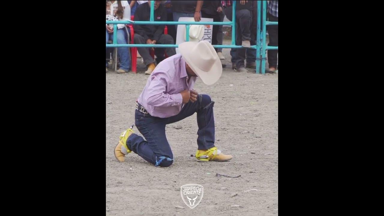 La Ultima Monta Del Niño De Oro #capcut #LA ÚLTIMA MONTA DEL PISTACHE DE MARAVATIO MIHOACAN2024 EN PAZ