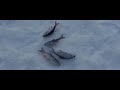 Зимняя рыбалка на мормышку в мороз (-20)