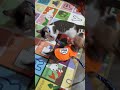 hachi the dog and richie the cat