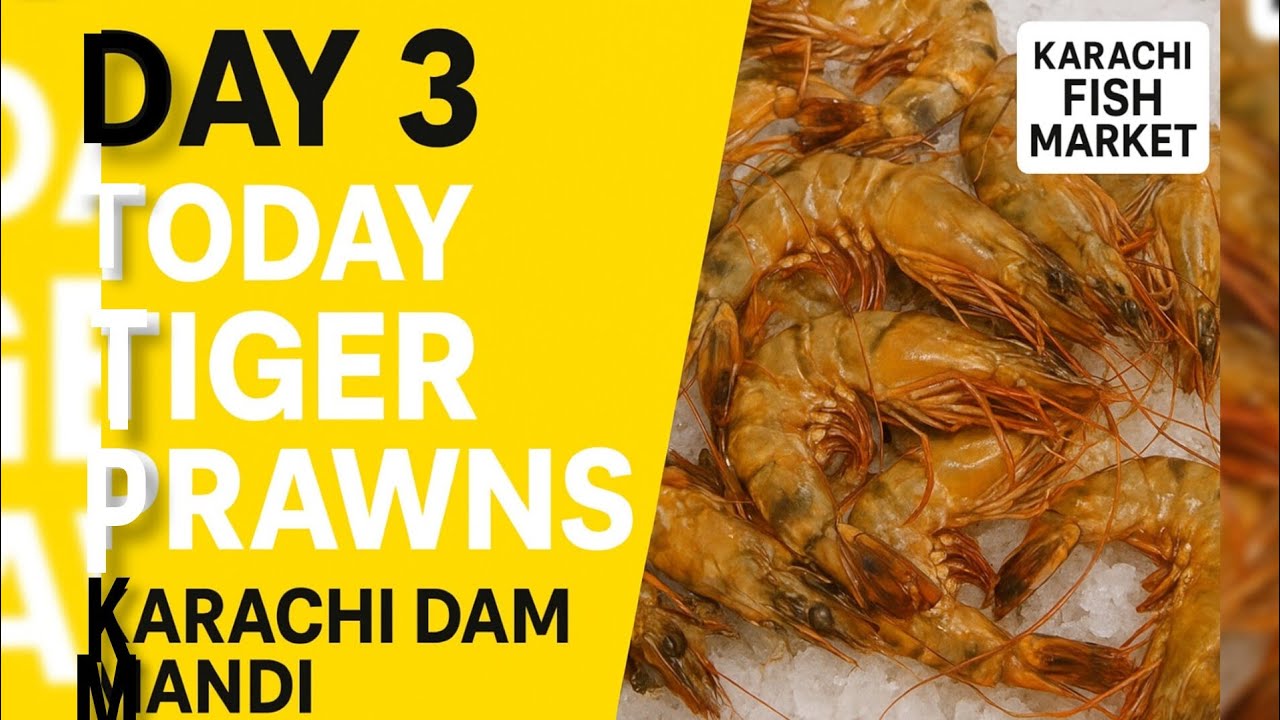 Today Karachi Fish Market | Dam Mandi Day 3 | Tiger Prawns Fresh Seafood Rates morning market