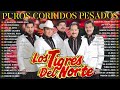 MIX TIGRES DEL NORTE VOL 2 CORRIDOS / Puros Corridos Mix 🔥 Puros Corridos Pesados Tigres Del Norte