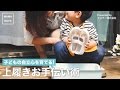 子どもの自立心を育てる！上履きお手伝い術