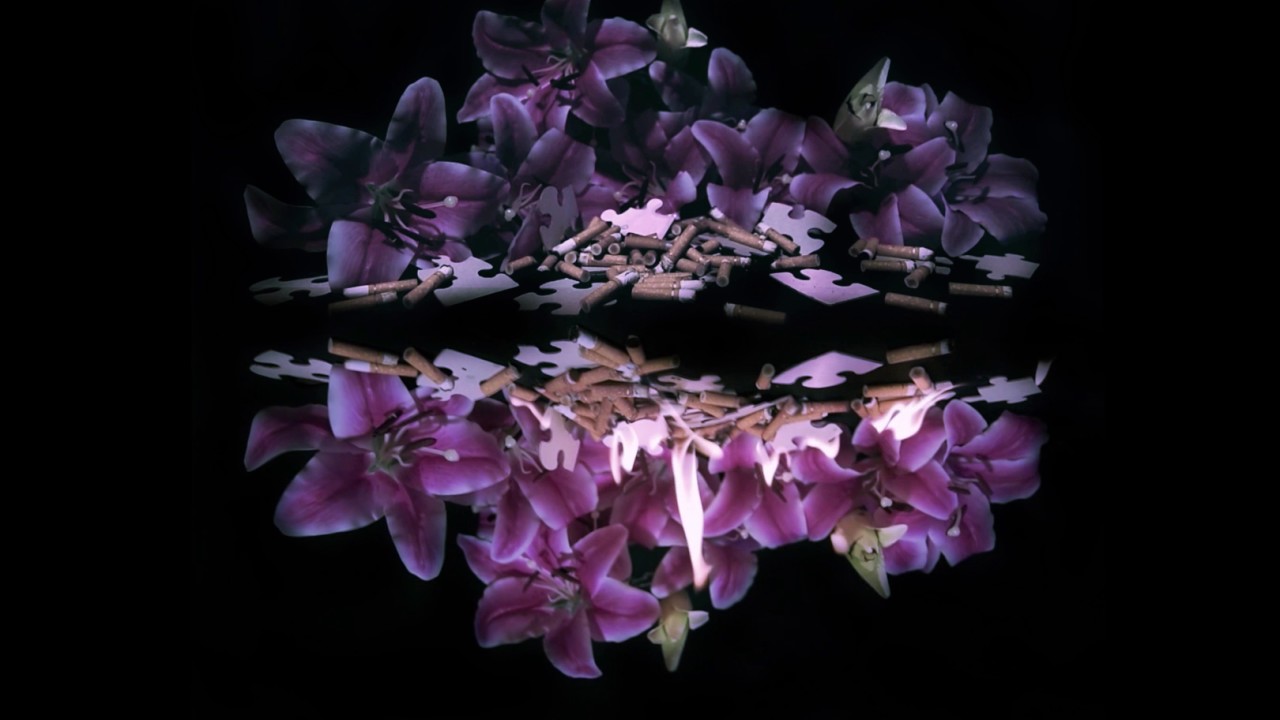 A Lot Like Birds "No Attention for Solved Puzzles"