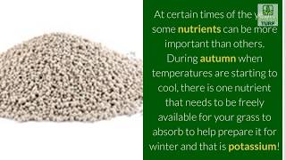 Adding Potassium to Winterize Your Lawn