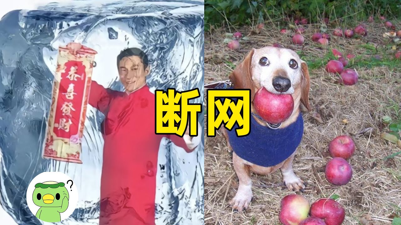 【斷網補全計劃66】貓貸，預製人，詐騙新曲，蘋果狗，苦中作樂笑，牢九門，淩晨四點嚼檳榔，韓國免簽，峽谷命案，古劍消消樂