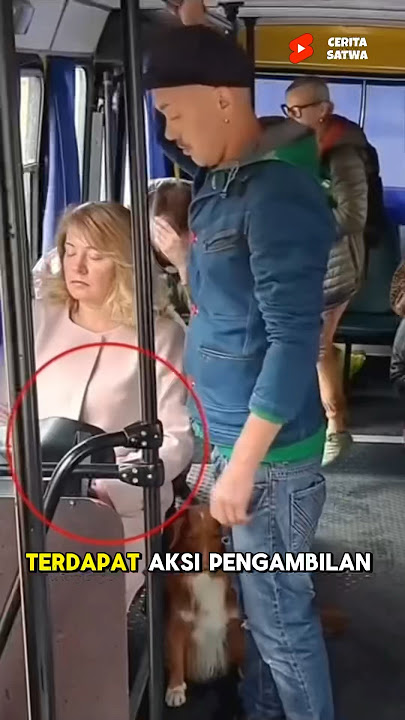 Anjing Penyelamat, Aksi Pengambilan Dompet Di Dalam Bus