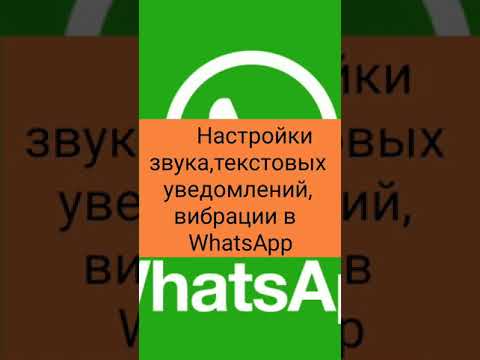 Видео: Миний WhatsApp хэрэглэгчийн нэр юу вэ?