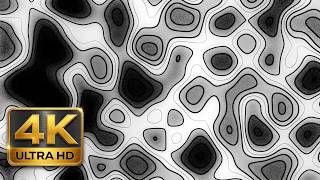 Minimalist B&W Topographic Flow: 1 Hour 4K Ambient Loop (No Sound)