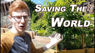 DIY Vegetable Garden Box Project