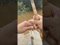 pescaria boa de mais dê pacu 🎣🐟