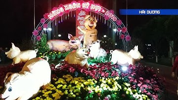 Không khí đón Tết Kỷ Hợi tràn ngập trên khắp cả nước