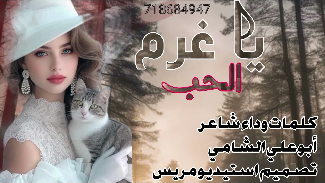 شيله غزليه ياغرم الحب كلمات وادء شاعر ابو علي الشامي 2026