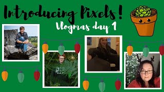 Introducing Pixels! Vlogmas day 1
