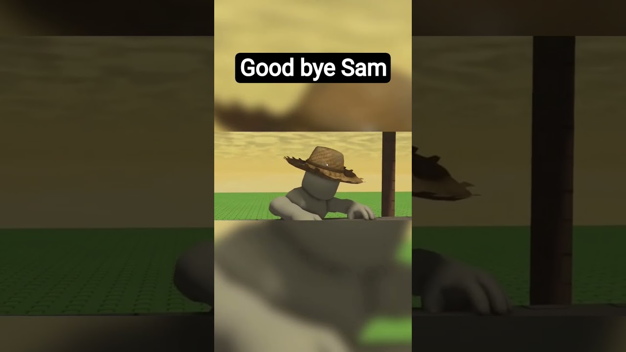 Good bye Sam 