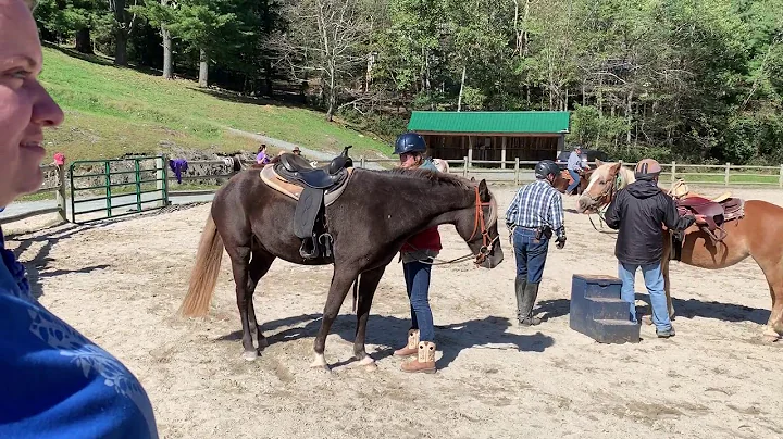 Guinness at a 3-day clinic October 2018 ridden by ...