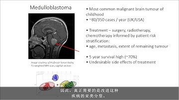 Webinar: Detection of Medulloblastoma-Associated DNA Methylation Patterns
