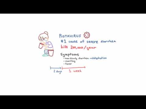 Video: Dermvirale Infeksie (Rotavirus) By Katte