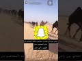 تحدي المغاتير والمجاهيم ولحقته المجهم