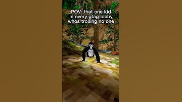 POV: that one kid in every gtag lobby.. #gorillatag #gtag #vr #oculus #pov