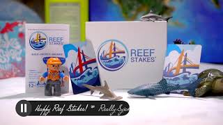 Reef Stakes®: How to Play Guide