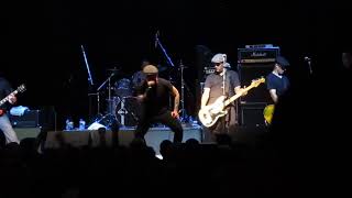 Watch Bruisers Raise Yer Glass video