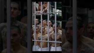 CECOT PRISON : HELL FOR CRIMINALS #cecot #elsalvador #prison #ganghell