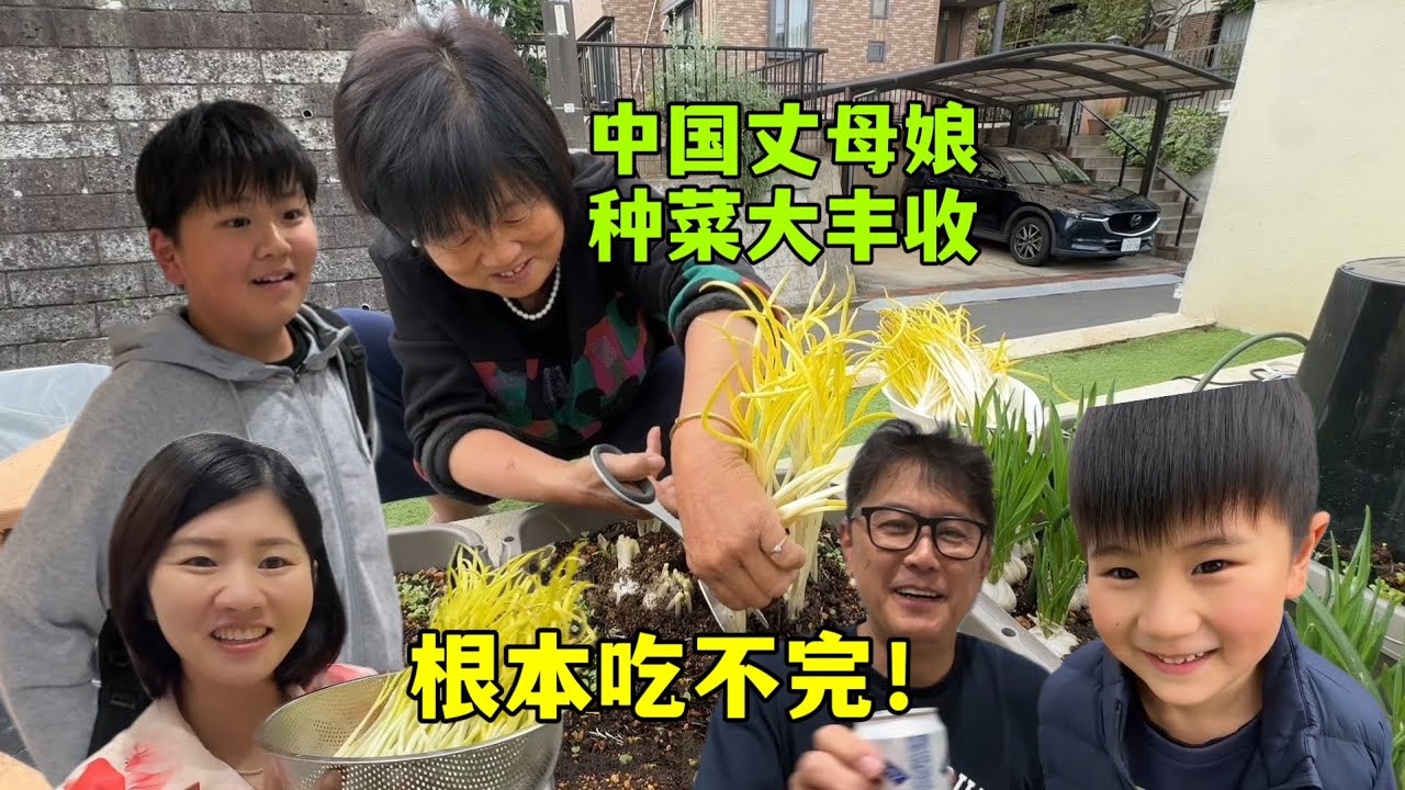 中國丈母娘在日本種菜大豐收！蒜黃根本吃不完，來份蒜黃炒蛋，日本女婿連連稱讚！