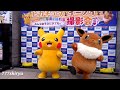 【ポケモン】ピカチュウ☆イーブイ撮影会☆テレビゲームアニメキャラクターショー★ヨドバシ梅田 Pokemon Pikachu,Evee Photo session in Yodobashi Umeda