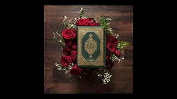 سورة الأنعام بصوت رائع وجميل وخاشع للقارئ الشيخ رعد الكردي