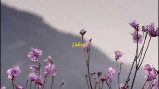 Download lagu bliss - lofi hip hop beat