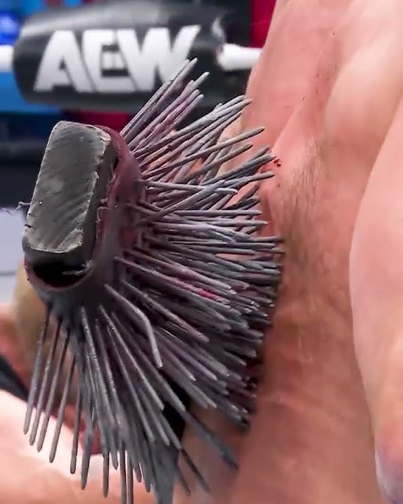 Follow along with the journey of SPIKE!