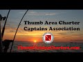 Thumb Area Charter Captains Association.