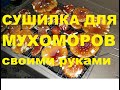 СУШИЛКА ДЛЯ #МУХОМОРОВ СВОИМИ РУКАМИ