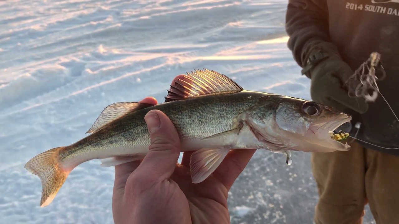 Deep Winter South Dakota Ice Fishing--Plus Q&A! - YouTube